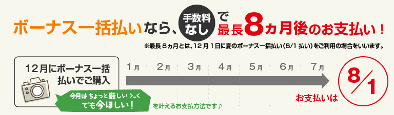 ボーナス一括払いなら、手数料なしで最長8ヵ月後のお支払い!